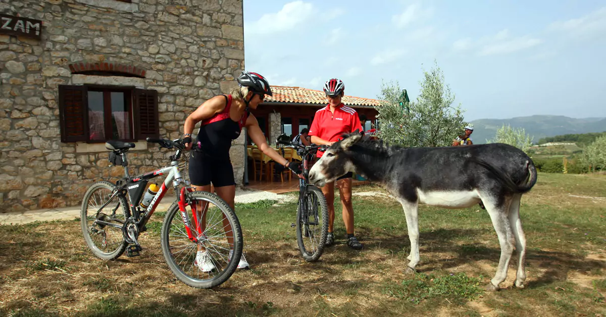 Croatia Adventure Holidays: Cycling vs. Walking – Which is Better?