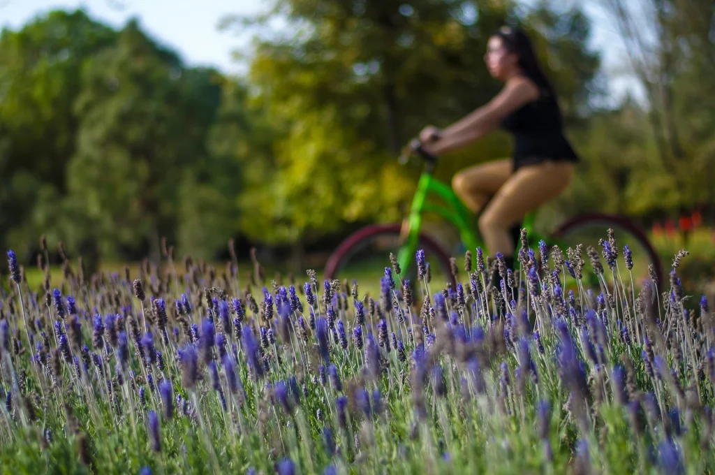 Every cyclist deserves a journey that perfectly aligns with their travel style, pace, and interests.