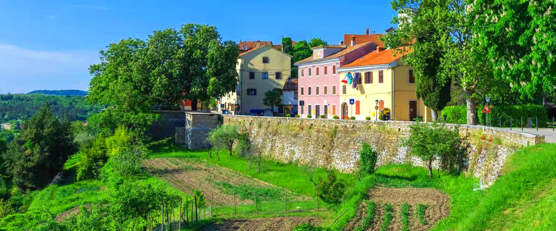 From Buje to Motovun: Istrian landscape from history to gastronomy