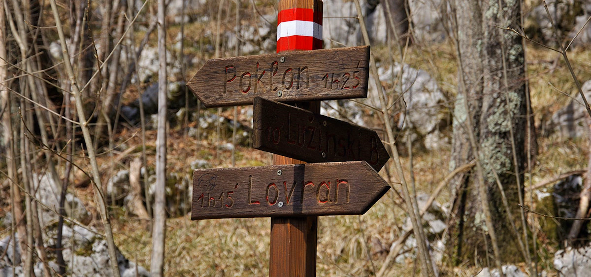 Discover Croatia’s Hidden Gems with Biking and Walking Tours